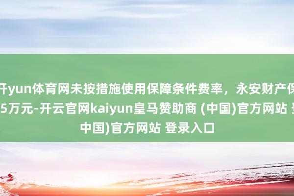 开yun体育网未按措施使用保障条件费率，永安财产保障被罚45万元-开云官网kaiyun皇马赞助商 (中国)官方网站 登录入口