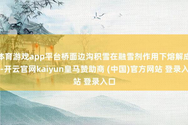 体育游戏app平台桥面边沟积雪在融雪剂作用下熔解成水-开云官网kaiyun皇马赞助商 (中国)官方网站 登录入口